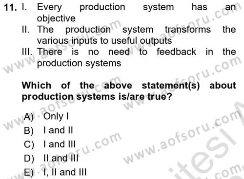 Introduction to Business Dersi 2024 - 2025 Yılı (Final) Dönem Sonu Sınav Soruları 11. Soru