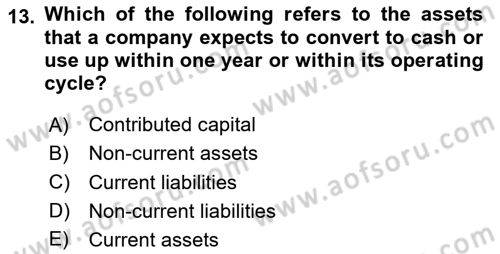 Introduction to Business Dersi 2024 - 2025 Yılı (Final) Dönem Sonu Sınav Soruları 13. Soru