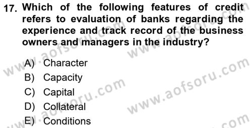 Introduction to Business Dersi 2024 - 2025 Yılı (Final) Dönem Sonu Sınav Soruları 17. Soru