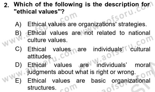 Introduction to Business Dersi 2024 - 2025 Yılı (Final) Dönem Sonu Sınav Soruları 2. Soru