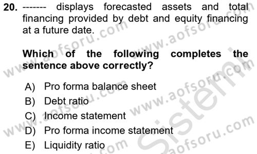 Introduction to Business Dersi 2024 - 2025 Yılı (Final) Dönem Sonu Sınav Soruları 20. Soru