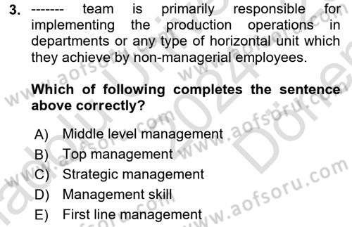 Introduction to Business Dersi 2024 - 2025 Yılı (Final) Dönem Sonu Sınav Soruları 3. Soru
