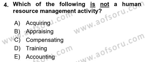Introduction to Business Dersi 2024 - 2025 Yılı (Final) Dönem Sonu Sınav Soruları 4. Soru