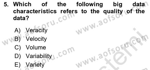Introduction to Business Dersi 2024 - 2025 Yılı (Final) Dönem Sonu Sınav Soruları 5. Soru