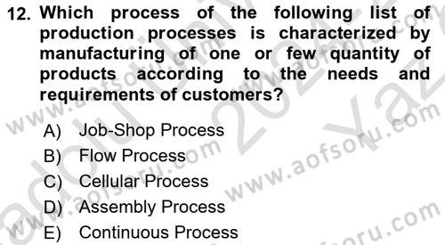 Introduction to Business Dersi 2024 - 2025 Yılı Yaz Okulu Sınav Soruları 12. Soru