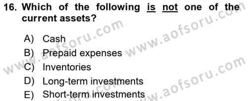 Introduction to Business Dersi 2024 - 2025 Yılı Yaz Okulu Sınav Soruları 16. Soru