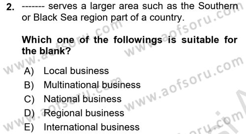 Introduction to Business Dersi 2024 - 2025 Yılı Yaz Okulu Sınav Soruları 2. Soru