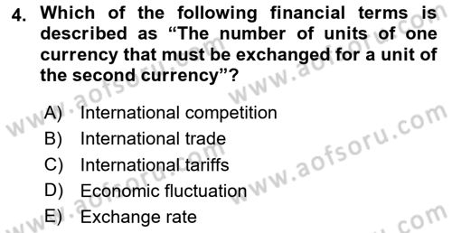 Introduction to Business Dersi 2024 - 2025 Yılı Yaz Okulu Sınav Soruları 4. Soru
