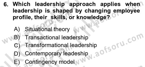 Introduction to Business Dersi 2024 - 2025 Yılı Yaz Okulu Sınav Soruları 6. Soru