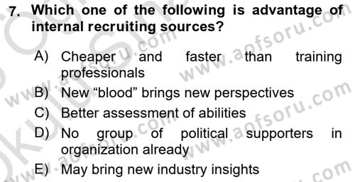 Introduction to Business Dersi 2024 - 2025 Yılı Yaz Okulu Sınav Soruları 7. Soru