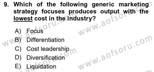 Introduction to Business Dersi 2024 - 2025 Yılı Yaz Okulu Sınav Soruları 9. Soru
