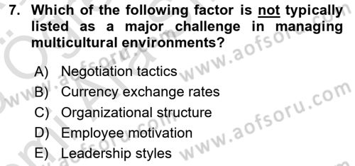 Introduction to Business Dersi 2025 - 2026 Yılı (Vize) Ara Sınav Soruları 7. Soru