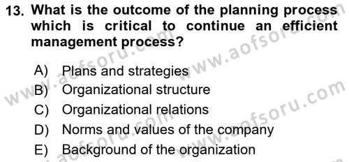 Business Management Dersi 2017 - 2018 Yılı (Vize) Ara Sınav Soruları 13. Soru
