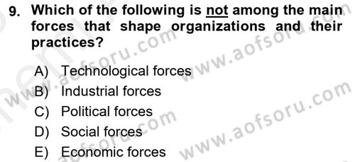 Business Management Dersi 2017 - 2018 Yılı (Vize) Ara Sınav Soruları 9. Soru
