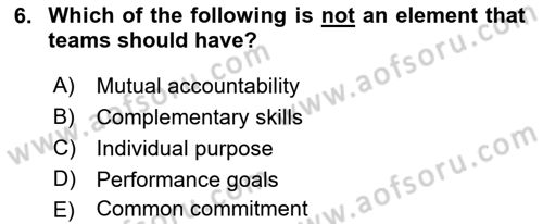 Business Management Dersi 2017 - 2018 Yılı (Final) Dönem Sonu Sınav Soruları 6. Soru