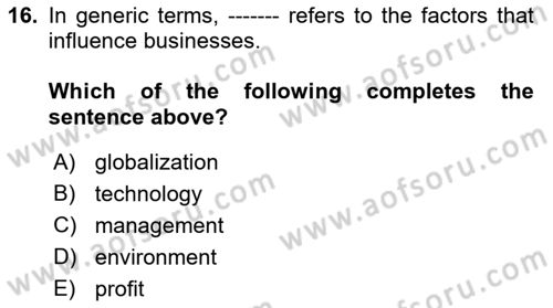 Business Management Dersi 2018 - 2019 Yılı (Vize) Ara Sınavı 16. Soru