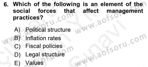 Business Management Dersi 2018 - 2019 Yılı (Vize) Ara Sınavı 6. Soru