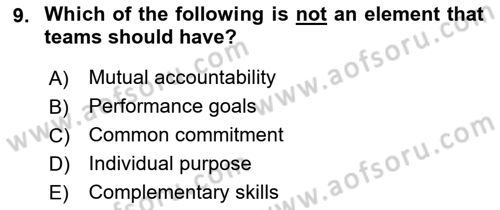 Business Management Dersi 2018 - 2019 Yılı (Final) Dönem Sonu Sınav Soruları 9. Soru