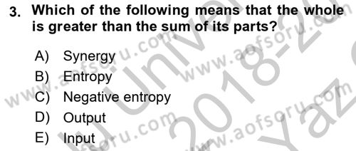 Business Management Dersi 2018 - 2019 Yılı Yaz Okulu Sınav Soruları 3. Soru