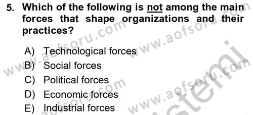 Business Management Dersi 2018 - 2019 Yılı Yaz Okulu Sınav Soruları 5. Soru