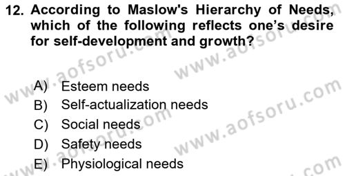 Business Management Dersi 2020 - 2021 Yılı Yaz Okulu Sınav Soruları 12. Soru