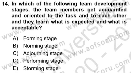 Business Management Dersi 2020 - 2021 Yılı Yaz Okulu Sınav Soruları 14. Soru