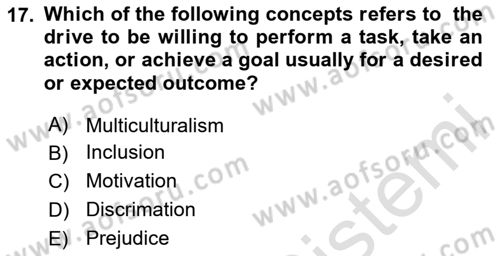Business Management Dersi 2020 - 2021 Yılı Yaz Okulu Sınav Soruları 17. Soru