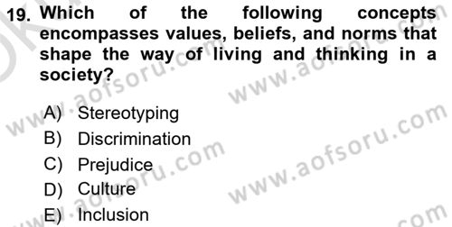 Business Management Dersi 2020 - 2021 Yılı Yaz Okulu Sınav Soruları 19. Soru
