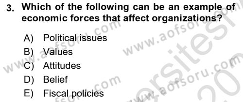 Business Management Dersi 2020 - 2021 Yılı Yaz Okulu Sınav Soruları 3. Soru