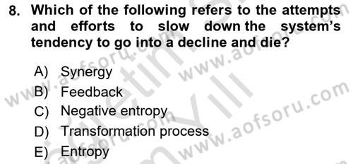 Business Management Dersi 2020 - 2021 Yılı Yaz Okulu Sınav Soruları 8. Soru