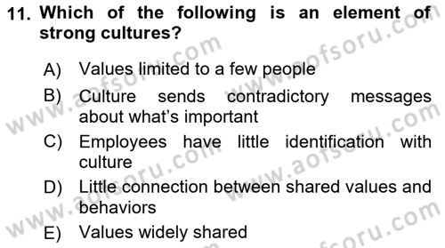 Business Management Dersi 2021 - 2022 Yılı (Vize) Ara Sınav Soruları 11. Soru