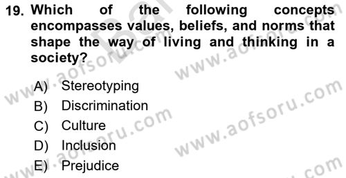 Business Management Dersi 2021 - 2022 Yılı (Final) Dönem Sonu Sınav Soruları 19. Soru
