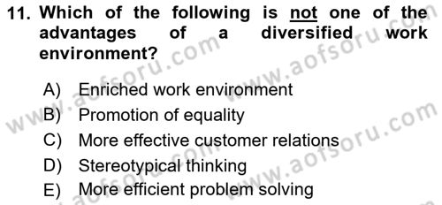 Business Management Dersi 2021 - 2022 Yılı Yaz Okulu Sınav Soruları 11. Soru