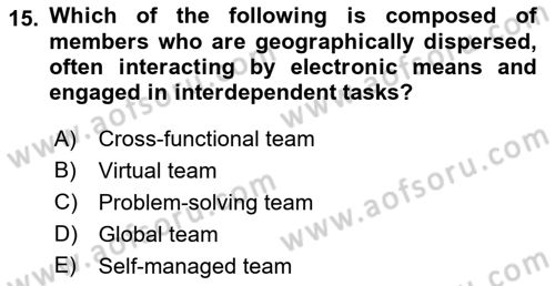 Business Management Dersi 2021 - 2022 Yılı Yaz Okulu Sınav Soruları 15. Soru