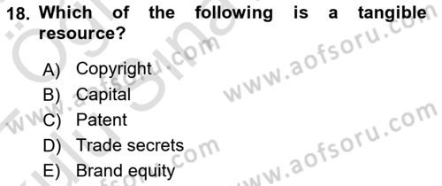 Business Management Dersi 2021 - 2022 Yılı Yaz Okulu Sınav Soruları 18. Soru