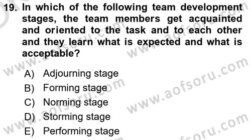 Business Management Dersi 2021 - 2022 Yılı Yaz Okulu Sınav Soruları 19. Soru