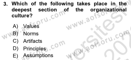 Business Management Dersi 2021 - 2022 Yılı Yaz Okulu Sınav Soruları 3. Soru