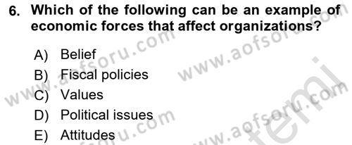 Business Management Dersi 2021 - 2022 Yılı Yaz Okulu Sınav Soruları 6. Soru