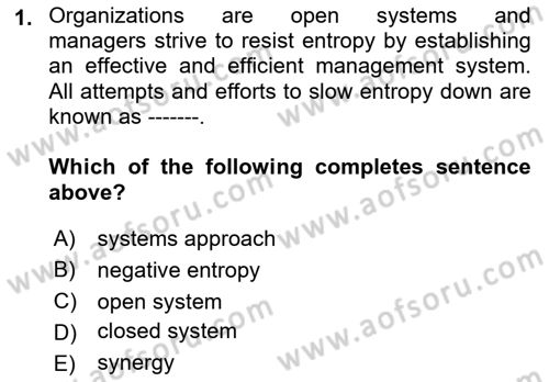 Business Management Dersi 2022 - 2023 Yılı Yaz Okulu Sınav Soruları 1. Soru