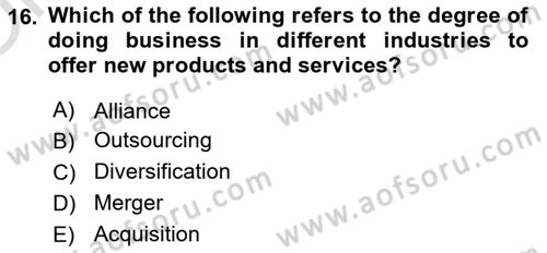 Business Management Dersi 2022 - 2023 Yılı Yaz Okulu Sınav Soruları 16. Soru