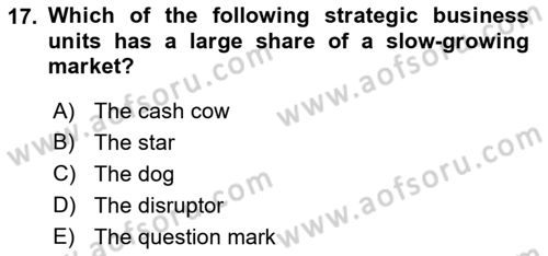 Business Management Dersi 2022 - 2023 Yılı Yaz Okulu Sınav Soruları 17. Soru