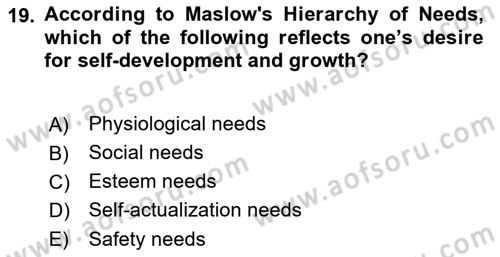 Business Management Dersi 2022 - 2023 Yılı Yaz Okulu Sınav Soruları 19. Soru