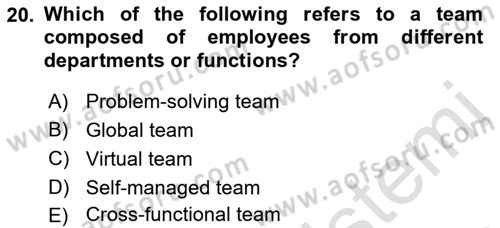 Business Management Dersi 2022 - 2023 Yılı Yaz Okulu Sınav Soruları 20. Soru