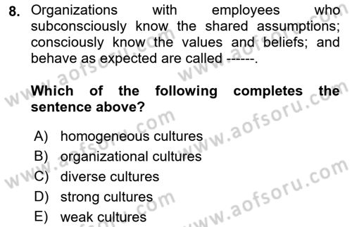 Business Management Dersi 2022 - 2023 Yılı Yaz Okulu Sınav Soruları 8. Soru