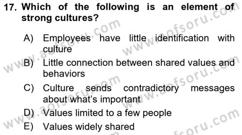 Business Management Dersi 2023 - 2024 Yılı (Vize) Ara Sınav Soruları 17. Soru
