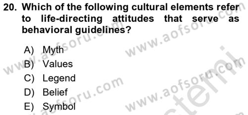 Business Management Dersi 2023 - 2024 Yılı (Vize) Ara Sınav Soruları 20. Soru