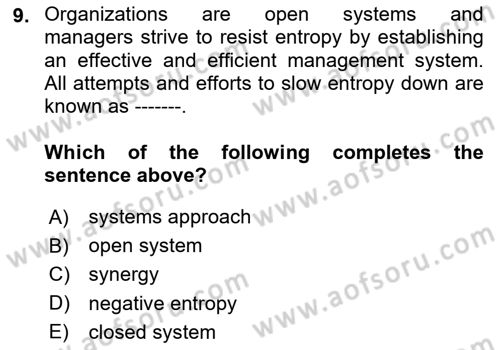 Business Management Dersi 2023 - 2024 Yılı (Vize) Ara Sınav Soruları 9. Soru