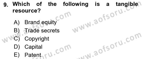 Business Management Dersi 2023 - 2024 Yılı (Final) Dönem Sonu Sınav Soruları 9. Soru