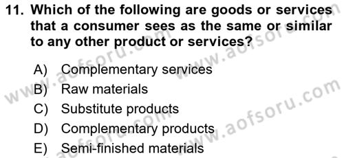 Business Management Dersi 2024 - 2025 Yılı (Vize) Ara Sınav Soruları 11. Soru
