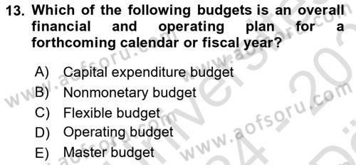 Business Management Dersi 2024 - 2025 Yılı (Vize) Ara Sınav Soruları 13. Soru